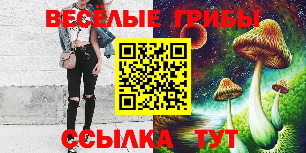 Галлюциногенные грибы MAGIC MUSHROOMS  Вход с VPN  Гатчина 